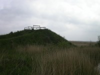 Uitzichtplateau Zomerhuisbos